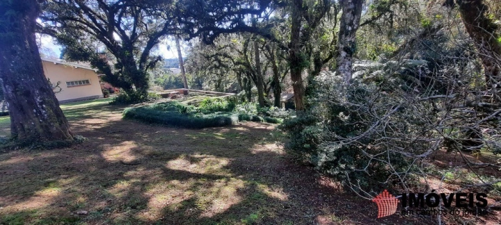 Casa Residencial para Venda - Campos do Jordão, Vila Everest - REF: 2477 Imagem da galeria de fotos: Casa Residencial para Venda - Campos do Jordão, Vila Everest - REF: 2477