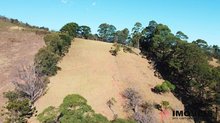 Sítio Rural para Venda - Campos do Jordão, Monte Carlo - REF: 2484 Imagem da galeria de fotos: Sítio Rural para Venda - Campos do Jordão, Monte Carlo - REF: 2484