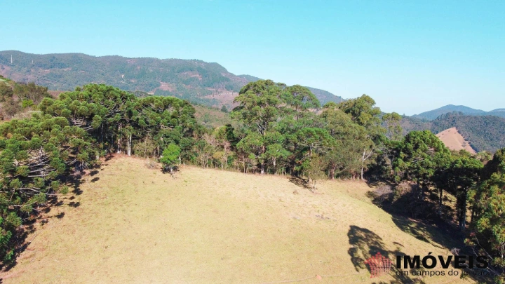 Sítio Rural para Venda - Campos do Jordão, Monte Carlo - REF: 2484 Imagem da galeria de fotos: Sítio Rural para Venda - Campos do Jordão, Monte Carlo - REF: 2484