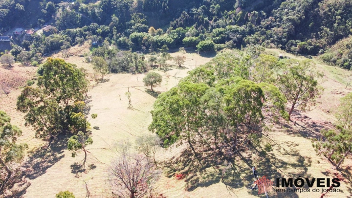 Sítio Rural para Venda - Campos do Jordão, Monte Carlo - REF: 2484 Imagem da galeria de fotos: Sítio Rural para Venda - Campos do Jordão, Monte Carlo - REF: 2484
