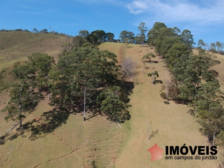 Sítio Rural para Venda - Campos do Jordão, Monte Carlo - REF: 2484 Imagem da galeria de fotos: Sítio Rural para Venda - Campos do Jordão, Monte Carlo - REF: 2484