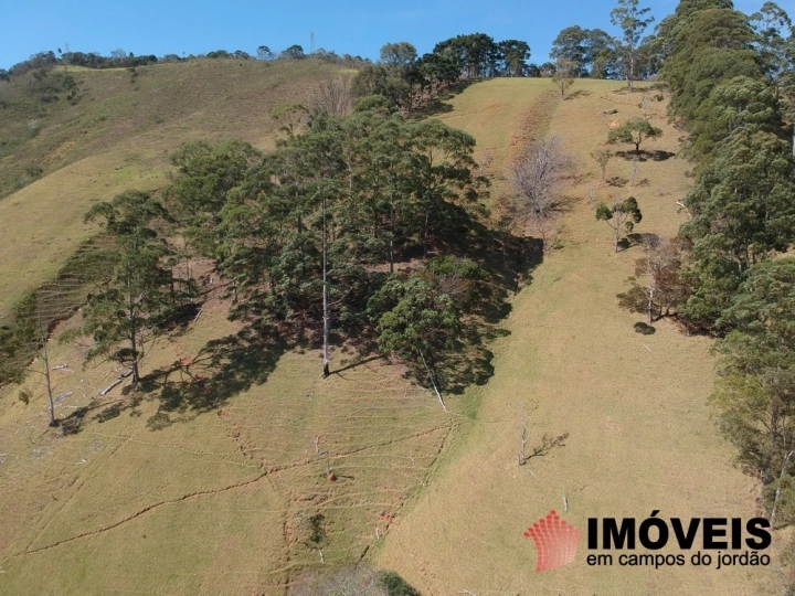 Sítio Rural para Venda - Campos do Jordão, Monte Carlo - REF: 2484 Imagem da galeria de fotos: Sítio Rural para Venda - Campos do Jordão, Monte Carlo - REF: 2484