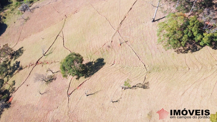 Sítio Rural para Venda - Campos do Jordão, Monte Carlo - REF: 2484 Imagem da galeria de fotos: Sítio Rural para Venda - Campos do Jordão, Monte Carlo - REF: 2484