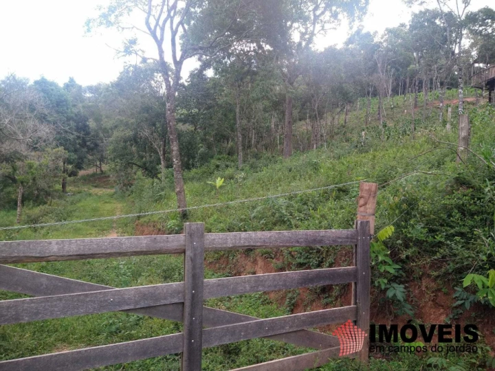 Terreno/Lote Residencial para Venda - Campos do Jordão, Alpes de Campos do Jordão - REF: 2499 Imagem da galeria de fotos: Terreno/Lote Residencial para Venda - Campos do Jordão, Alpes de Campos do Jordão - REF: 2499