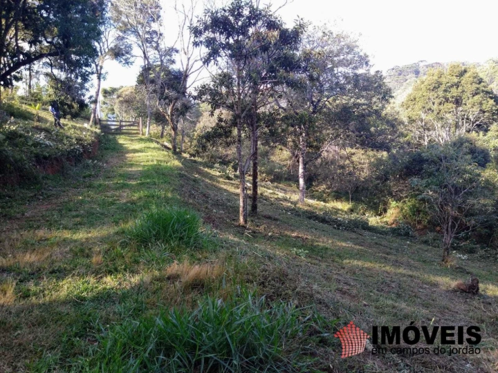 Terreno/Lote Residencial para Venda - Campos do Jordão, Alpes de Campos do Jordão - REF: 2499 Imagem da galeria de fotos: Terreno/Lote Residencial para Venda - Campos do Jordão, Alpes de Campos do Jordão - REF: 2499