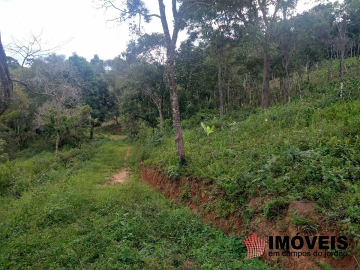 Terreno/Lote Residencial para Venda - Campos do Jordão, Alpes de Campos do Jordão - REF: 2499 Imagem da galeria de fotos: Terreno/Lote Residencial para Venda - Campos do Jordão, Alpes de Campos do Jordão - REF: 2499