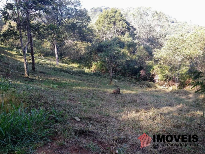 Terreno/Lote Residencial para Venda - Campos do Jordão, Alpes de Campos do Jordão - REF: 2499 Imagem da galeria de fotos: Terreno/Lote Residencial para Venda - Campos do Jordão, Alpes de Campos do Jordão - REF: 2499