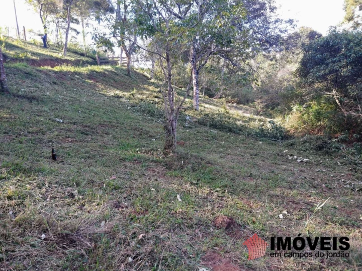 Terreno/Lote Residencial para Venda - Campos do Jordão, Alpes de Campos do Jordão - REF: 2499 Imagem da galeria de fotos: Terreno/Lote Residencial para Venda - Campos do Jordão, Alpes de Campos do Jordão - REF: 2499