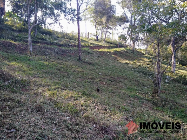 Terreno/Lote Residencial para Venda - Campos do Jordão, Alpes de Campos do Jordão - REF: 2499 Imagem da galeria de fotos: Terreno/Lote Residencial para Venda - Campos do Jordão, Alpes de Campos do Jordão - REF: 2499