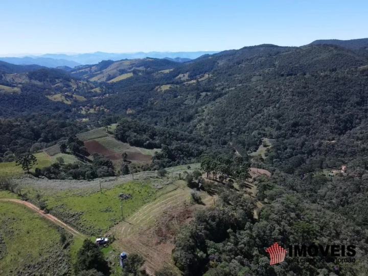 Terreno/Lote Residencial para Venda - Gonçalves, Sertão de Cantagalo - REF: 2517 Imagem da galeria de fotos: Terreno/Lote Residencial para Venda - Gonçalves, Sertão de Cantagalo - REF: 2517