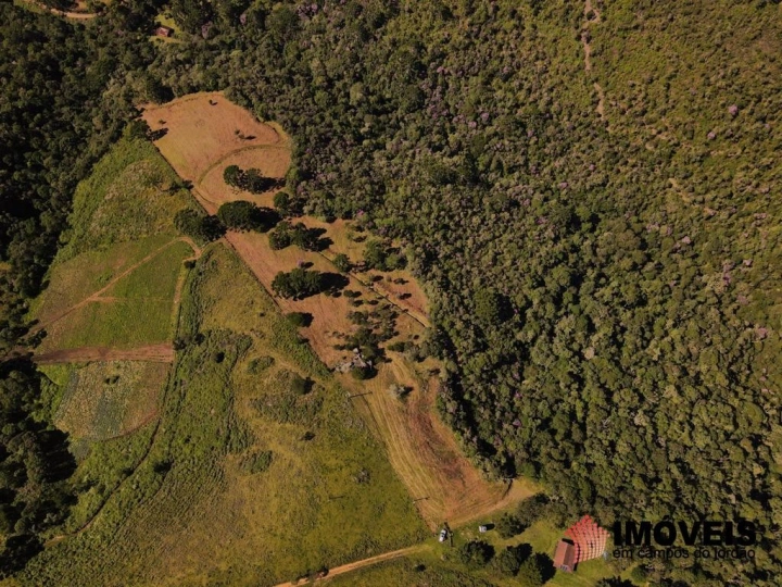 Terreno/Lote Residencial para Venda - Gonçalves, Sertão de Cantagalo - REF: 2517 Imagem da galeria de fotos: Terreno/Lote Residencial para Venda - Gonçalves, Sertão de Cantagalo - REF: 2517
