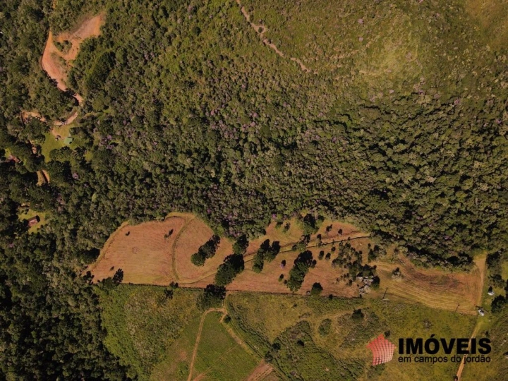 Terreno/Lote Residencial para Venda - Gonçalves, Sertão de Cantagalo - REF: 2517 Imagem da galeria de fotos: Terreno/Lote Residencial para Venda - Gonçalves, Sertão de Cantagalo - REF: 2517