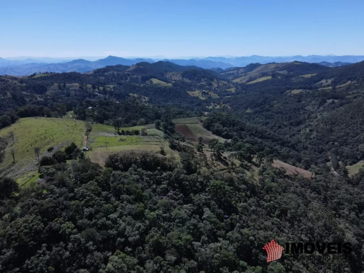 Terreno/Lote Residencial para Venda - Gonçalves, Sertão de Cantagalo - REF: 2517 Imagem da galeria de fotos: Terreno/Lote Residencial para Venda - Gonçalves, Sertão de Cantagalo - REF: 2517