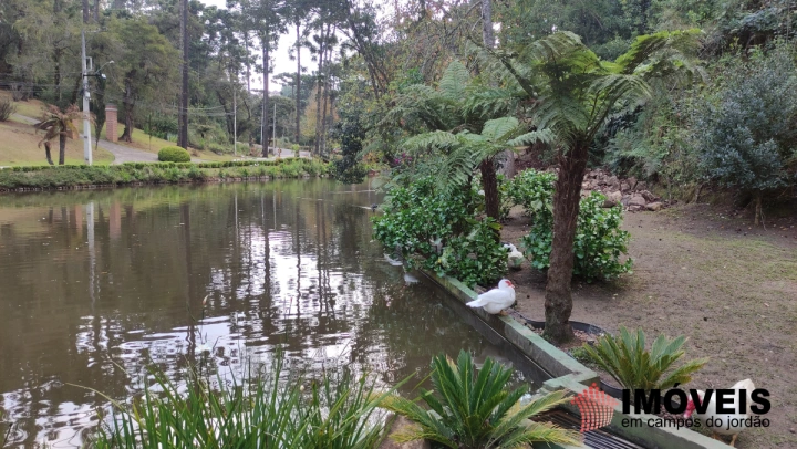 Terreno/Lote Residencial para Venda - Campos do Jordão, Vila Capivari - REF: 2525 Imagem da galeria de fotos: Terreno/Lote Residencial para Venda - Campos do Jordão, Vila Capivari - REF: 2525