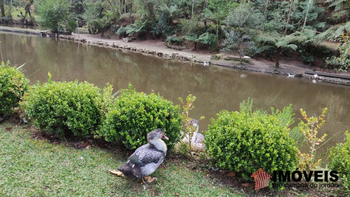 Terreno/Lote Residencial para Venda - Campos do Jordão, Vila Capivari - REF: 2525 Imagem da galeria de fotos: Terreno/Lote Residencial para Venda - Campos do Jordão, Vila Capivari - REF: 2525