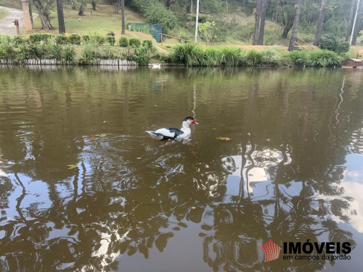 Terreno/Lote Residencial para Venda - Campos do Jordão, Vila Capivari - REF: 2525 Imagem da galeria de fotos: Terreno/Lote Residencial para Venda - Campos do Jordão, Vila Capivari - REF: 2525