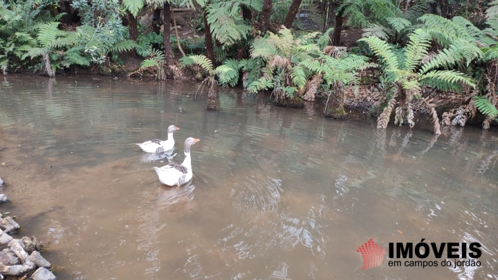 Terreno/Lote Residencial para Venda - Campos do Jordão, Vila Capivari - REF: 2525 Imagem da galeria de fotos: Terreno/Lote Residencial para Venda - Campos do Jordão, Vila Capivari - REF: 2525