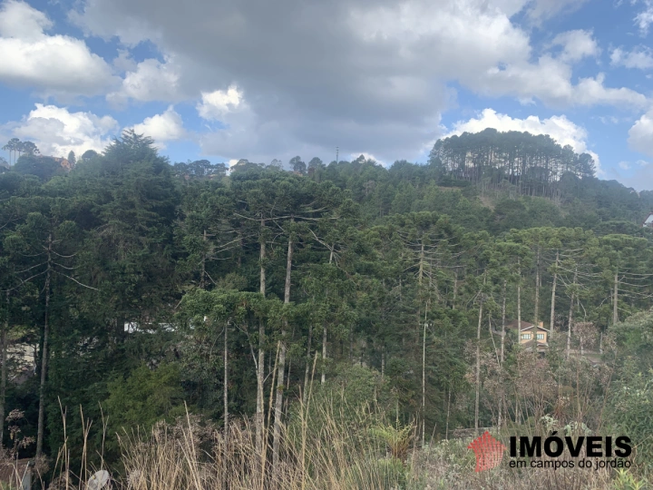 Terreno/Lote Residencial para Venda - Campos do Jordão, Vila Capivari - REF: 2525 Imagem da galeria de fotos: Terreno/Lote Residencial para Venda - Campos do Jordão, Vila Capivari - REF: 2525