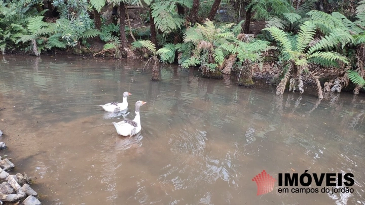 Terreno/Lote Residencial para Venda - Campos do Jordão, Vila Capivari - REF: 2526 Imagem da galeria de fotos: Terreno/Lote Residencial para Venda - Campos do Jordão, Vila Capivari - REF: 2526