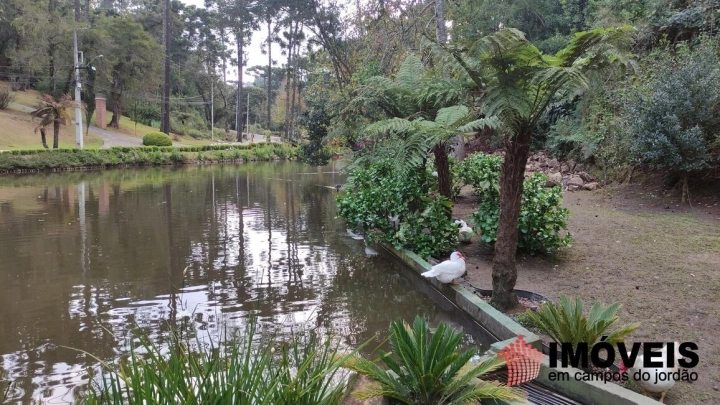 Terreno/Lote Residencial para Venda - Campos do Jordão, Vila Capivari - REF: 2526 Imagem da galeria de fotos: Terreno/Lote Residencial para Venda - Campos do Jordão, Vila Capivari - REF: 2526