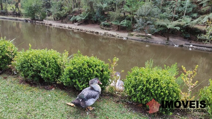 Terreno/Lote Residencial para Venda - Campos do Jordão, Vila Capivari - REF: 2526 Imagem da galeria de fotos: Terreno/Lote Residencial para Venda - Campos do Jordão, Vila Capivari - REF: 2526