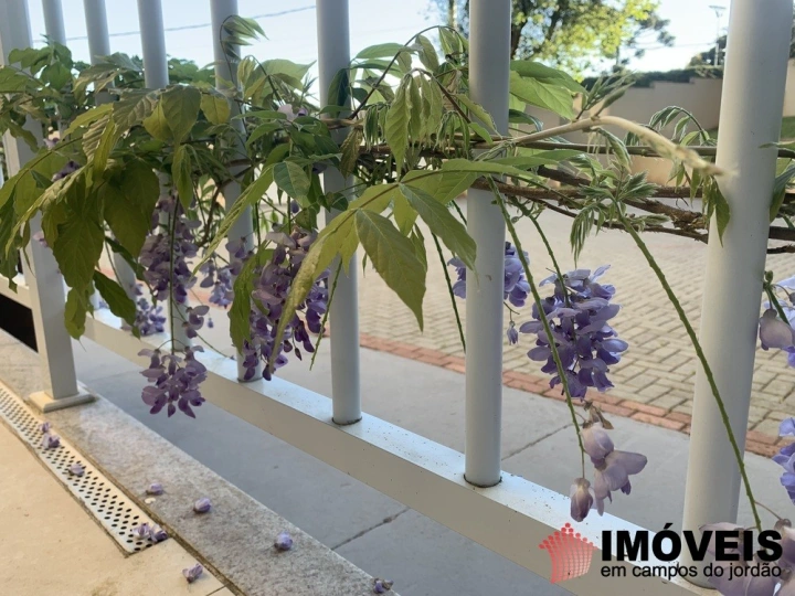 Apartamento Residencial para Venda - Campos do Jordão, Vila Capivari - REF: 2546 Imagem da galeria de fotos: Apartamento Residencial para Venda - Campos do Jordão, Vila Capivari - REF: 2546