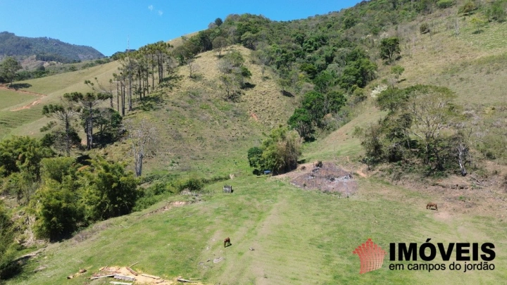 Sítio Residencial para Venda - Santo Antônio do Pinhal, Lajeado - REF: 2547 Imagem da galeria de fotos: Sítio Residencial para Venda - Santo Antônio do Pinhal, Lajeado - REF: 2547