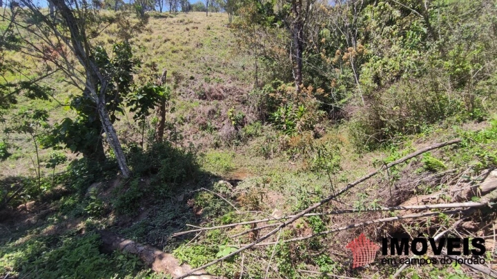 Sítio Residencial para Venda - Santo Antônio do Pinhal, Lajeado - REF: 2547 Imagem da galeria de fotos: Sítio Residencial para Venda - Santo Antônio do Pinhal, Lajeado - REF: 2547