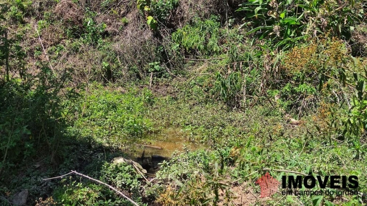 Sítio Residencial para Venda - Santo Antônio do Pinhal, Lajeado - REF: 2547 Imagem da galeria de fotos: Sítio Residencial para Venda - Santo Antônio do Pinhal, Lajeado - REF: 2547