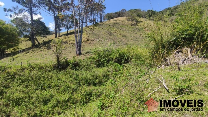 Sítio Residencial para Venda - Santo Antônio do Pinhal, Lajeado - REF: 2547 Imagem da galeria de fotos: Sítio Residencial para Venda - Santo Antônio do Pinhal, Lajeado - REF: 2547