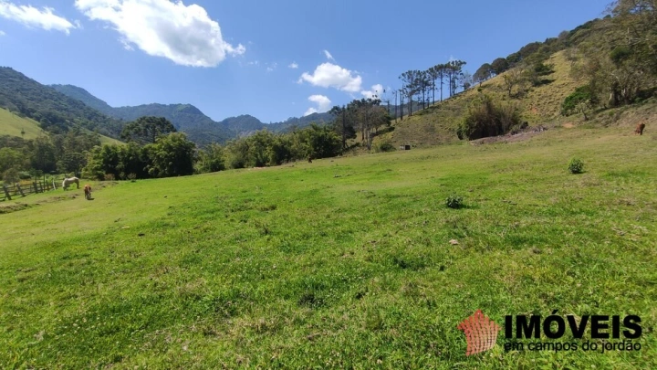 Sítio Residencial para Venda - Santo Antônio do Pinhal, Lajeado - REF: 2547 Imagem da galeria de fotos: Sítio Residencial para Venda - Santo Antônio do Pinhal, Lajeado - REF: 2547