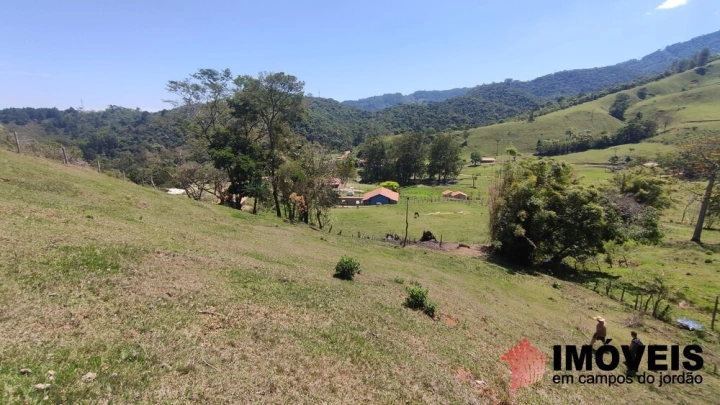 Sítio Residencial para Venda - Santo Antônio do Pinhal, Lajeado - REF: 2547 Imagem da galeria de fotos: Sítio Residencial para Venda - Santo Antônio do Pinhal, Lajeado - REF: 2547