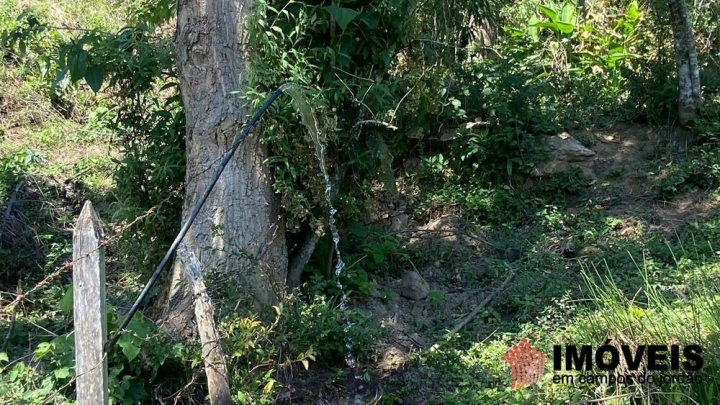 Sítio Residencial para Venda - Santo Antônio do Pinhal, Lajeado - REF: 2547 Imagem da galeria de fotos: Sítio Residencial para Venda - Santo Antônio do Pinhal, Lajeado - REF: 2547