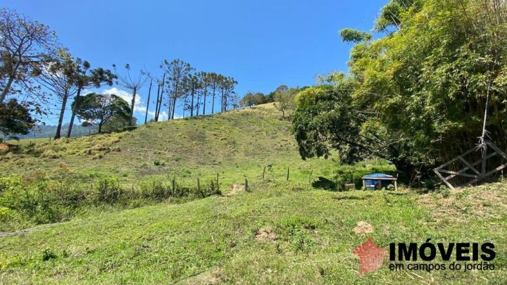 Sítio Residencial para Venda - Santo Antônio do Pinhal, Lajeado - REF: 2547 Imagem da galeria de fotos: Sítio Residencial para Venda - Santo Antônio do Pinhal, Lajeado - REF: 2547