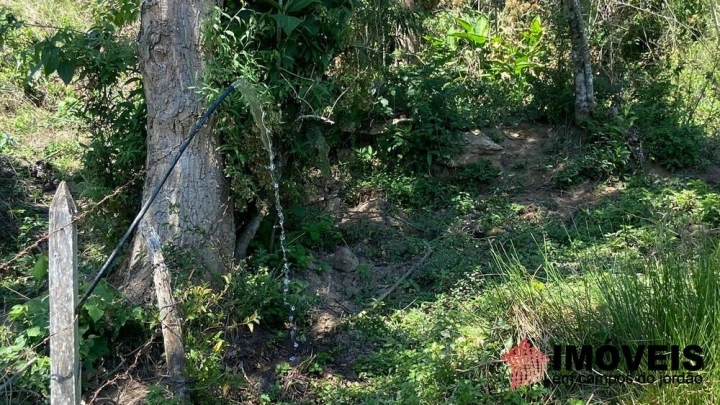 Sítio Residencial para Venda - Santo Antônio do Pinhal, Lajeado - REF: 2547 Imagem da galeria de fotos: Sítio Residencial para Venda - Santo Antônio do Pinhal, Lajeado - REF: 2547