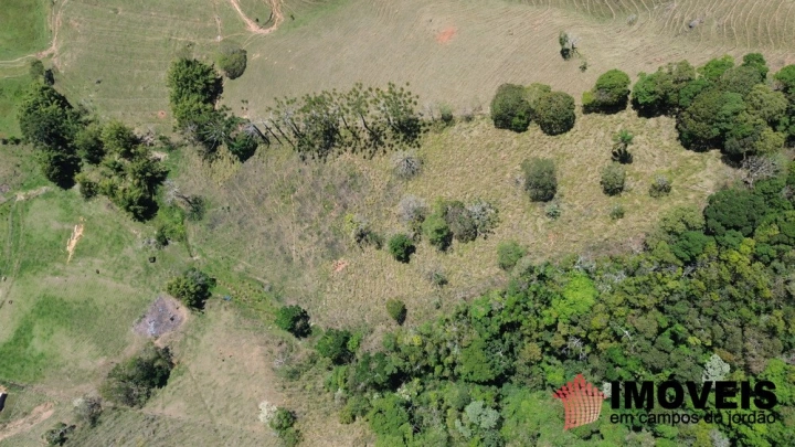 Sítio Residencial para Venda - Santo Antônio do Pinhal, Lajeado - REF: 2547 Imagem da galeria de fotos: Sítio Residencial para Venda - Santo Antônio do Pinhal, Lajeado - REF: 2547