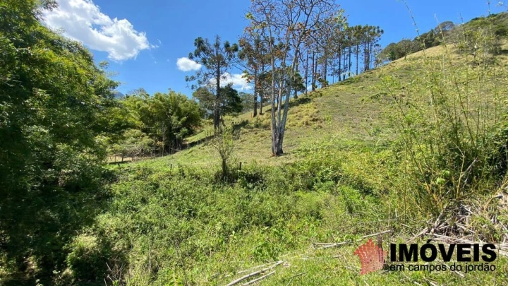 Sítio Residencial para Venda - Santo Antônio do Pinhal, Lajeado - REF: 2547 Imagem da galeria de fotos: Sítio Residencial para Venda - Santo Antônio do Pinhal, Lajeado - REF: 2547