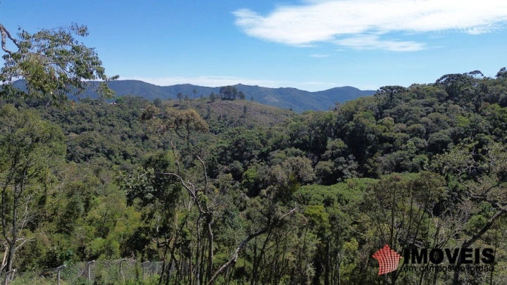 Terreno/Lote Residencial para Venda - Campos do Jordão, Parque Pedra do Baú - REF: 2553 Imagem da galeria de fotos: Terreno/Lote Residencial para Venda - Campos do Jordão, Parque Pedra do Baú - REF: 2553
