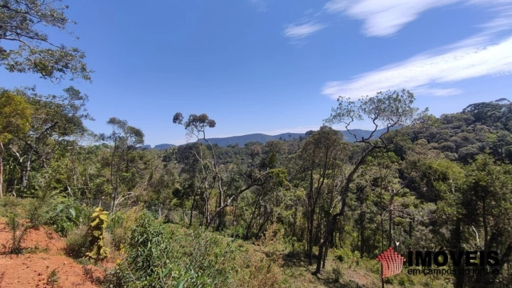 Terreno/Lote Residencial para Venda - Campos do Jordão, Parque Pedra do Baú - REF: 2553 Imagem da galeria de fotos: Terreno/Lote Residencial para Venda - Campos do Jordão, Parque Pedra do Baú - REF: 2553
