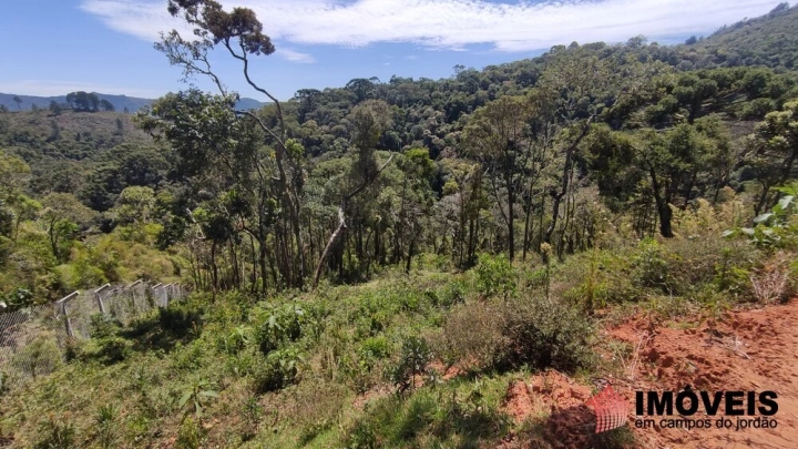 Terreno/Lote Residencial para Venda - Campos do Jordão, Parque Pedra do Baú - REF: 2553 Imagem da galeria de fotos: Terreno/Lote Residencial para Venda - Campos do Jordão, Parque Pedra do Baú - REF: 2553