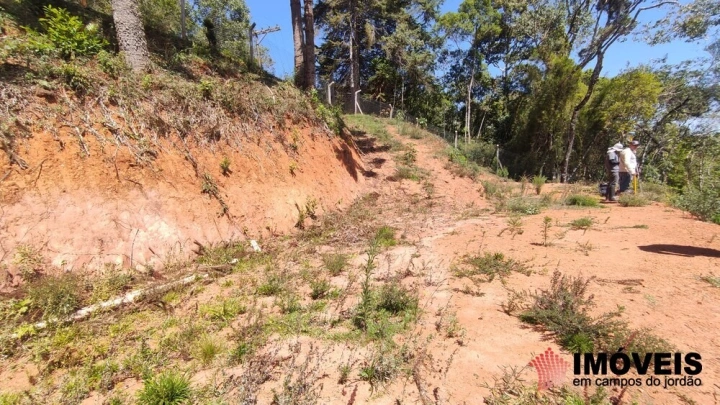 Terreno/Lote Residencial para Venda - Campos do Jordão, Parque Pedra do Baú - REF: 2553 Imagem da galeria de fotos: Terreno/Lote Residencial para Venda - Campos do Jordão, Parque Pedra do Baú - REF: 2553