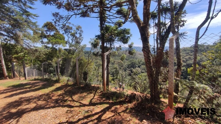 Terreno/Lote Residencial para Venda - Campos do Jordão, Parque Pedra do Baú - REF: 2553 Imagem da galeria de fotos: Terreno/Lote Residencial para Venda - Campos do Jordão, Parque Pedra do Baú - REF: 2553