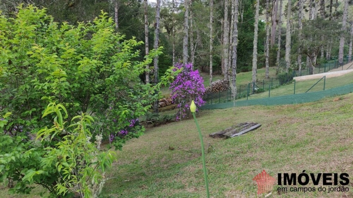 Terreno/Lote Residencial para Venda - Campos do Jordão, Alto do Capivari - REF: 2554 Imagem da galeria de fotos: Terreno/Lote Residencial para Venda - Campos do Jordão, Alto do Capivari - REF: 2554