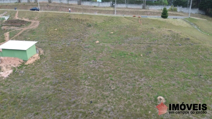 Terreno/Lote Residencial para Venda - Campos do Jordão, Alto do Capivari - REF: 2556 Imagem da galeria de fotos: Terreno/Lote Residencial para Venda - Campos do Jordão, Alto do Capivari - REF: 2556