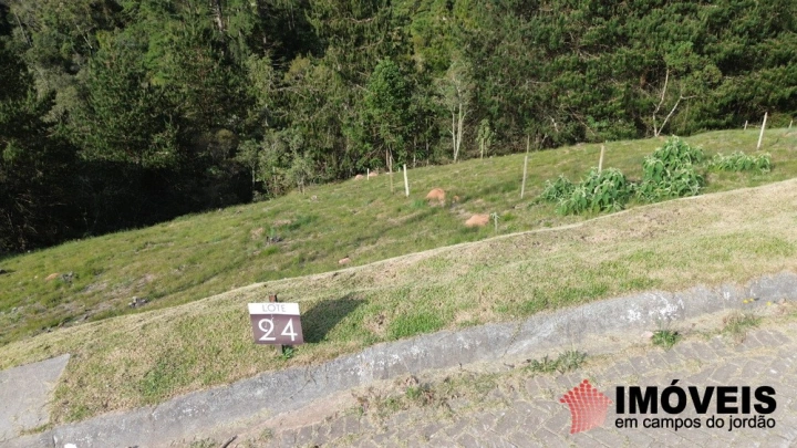 Terreno/Lote Residencial para Venda - Campos do Jordão, Alto do Capivari - REF: 2557 Imagem da galeria de fotos: Terreno/Lote Residencial para Venda - Campos do Jordão, Alto do Capivari - REF: 2557