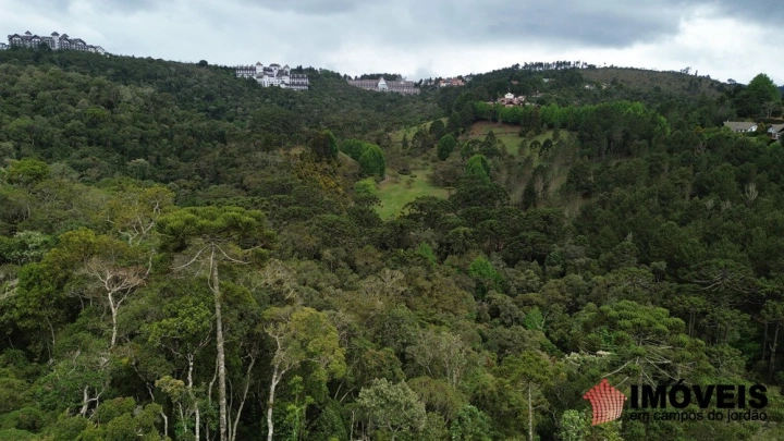 Terreno/Lote Residencial para Venda - Campos do Jordão, Alto do Capivari - REF: 2564 Imagem da galeria de fotos: Terreno/Lote Residencial para Venda - Campos do Jordão, Alto do Capivari - REF: 2564