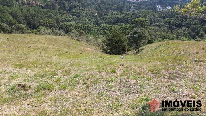 Terreno/Lote Residencial para Venda - Campos do Jordão, Alto do Capivari - REF: 2566 Imagem da galeria de fotos: Terreno/Lote Residencial para Venda - Campos do Jordão, Alto do Capivari - REF: 2566