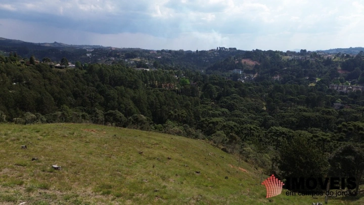 Terreno/Lote Residencial para Venda - Campos do Jordão, Alto do Capivari - REF: 2566 Imagem da galeria de fotos: Terreno/Lote Residencial para Venda - Campos do Jordão, Alto do Capivari - REF: 2566