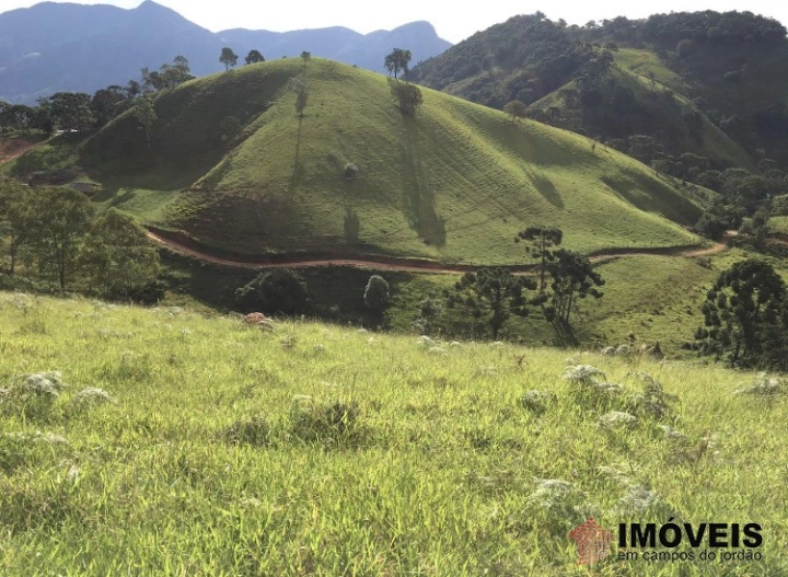 Terreno/Lote Residencial para Venda - Campos do Jordão, Luminosa - REF: 2013 Imagem da galeria de fotos: Terreno/Lote Residencial para Venda - Campos do Jordão, Luminosa - REF: 2013