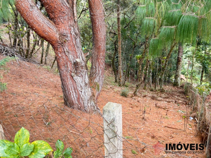 Terreno/Lote Residencial para Venda - Campos do Jordão, Atalaia - REF: 2019 Imagem da galeria de fotos: Terreno/Lote Residencial para Venda - Campos do Jordão, Atalaia - REF: 2019